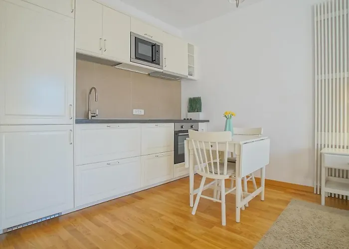 Downtown Premium Apartment Brasov