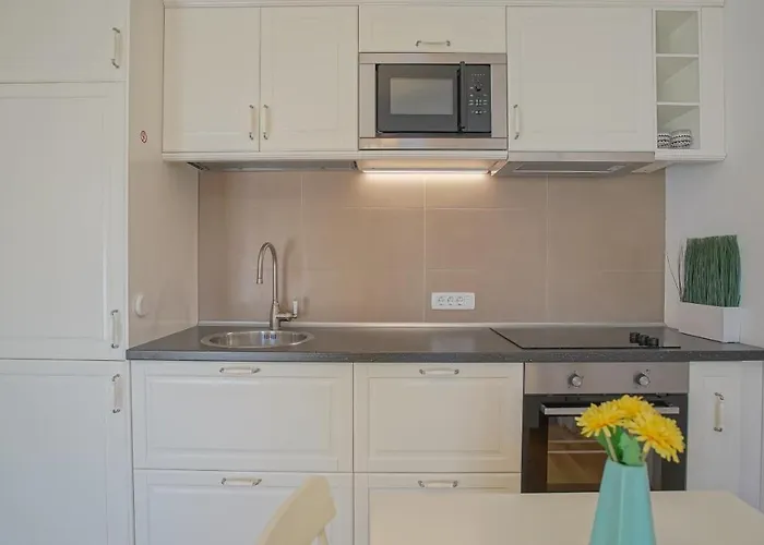 Apartment Downtown Premium